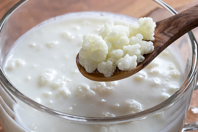 Kefir weight loss - Add kefir to milk