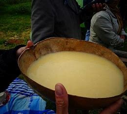 Evolution of fermentation: chicha