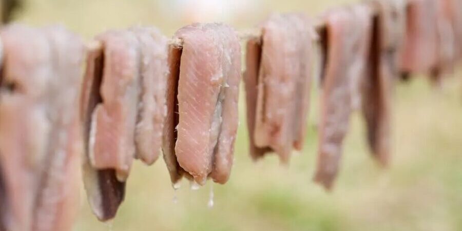 How can Swedish fermented fish be safely consumed?