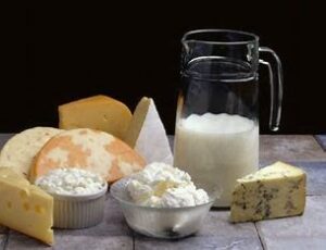 Lactose fermentation