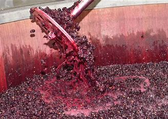 When to stop wine fermentation